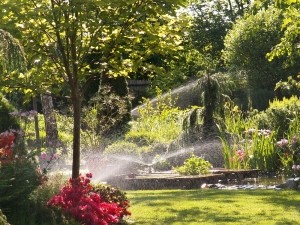 Woda w ogrodzie - systemy nawadniające